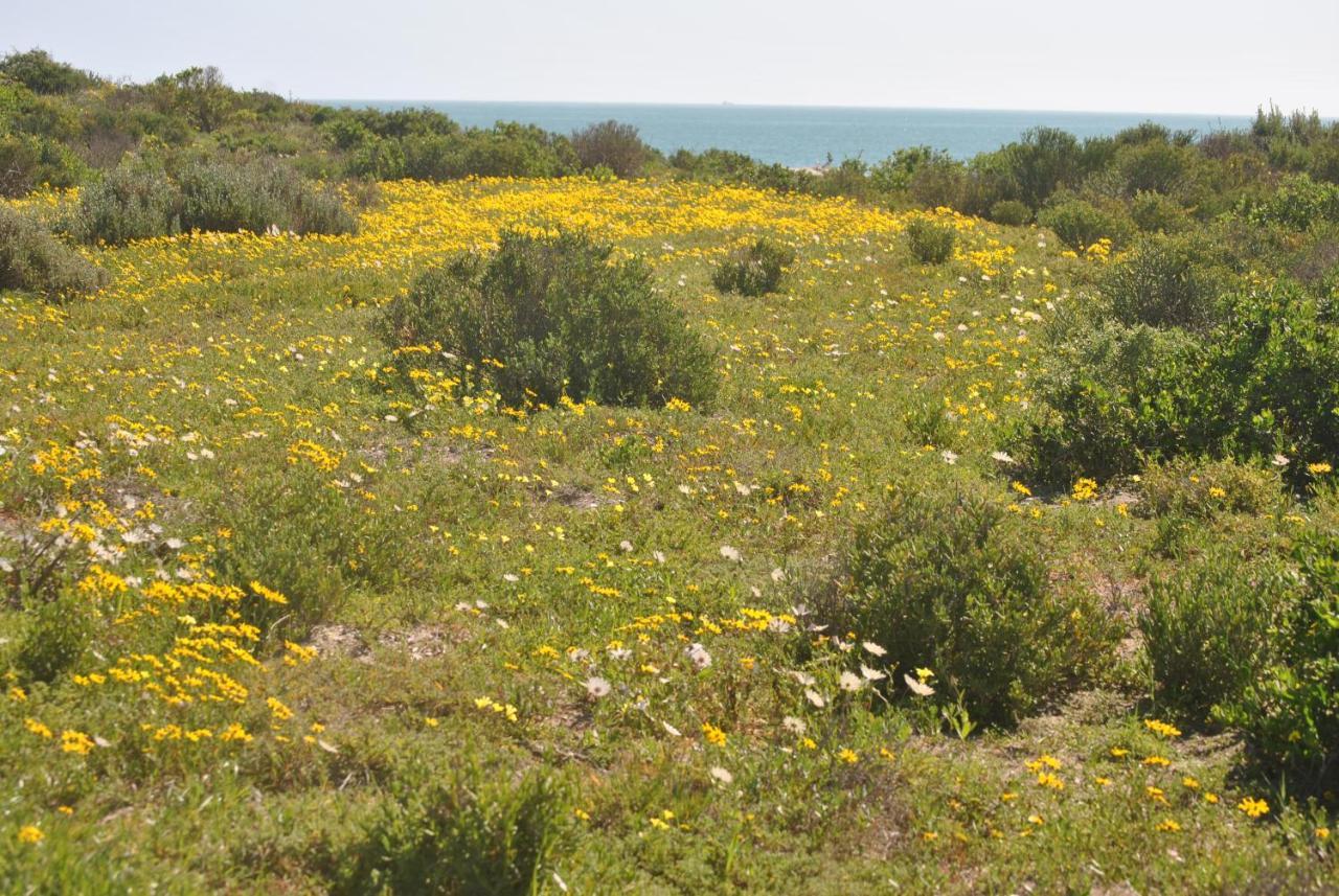 Stay At Bokkoms In Paternoster Self Catering Accommodation Bagian luar foto