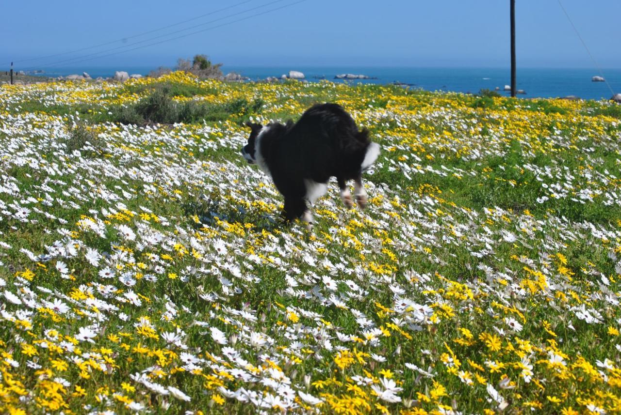 Stay At Bokkoms In Paternoster Self Catering Accommodation Bagian luar foto