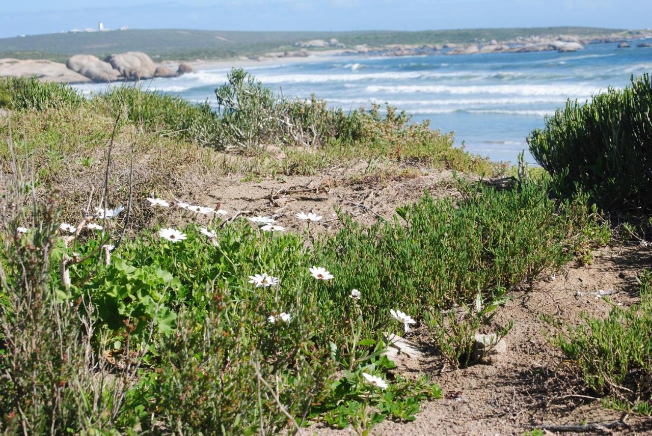 Stay At Bokkoms In Paternoster Self Catering Accommodation Bagian luar foto