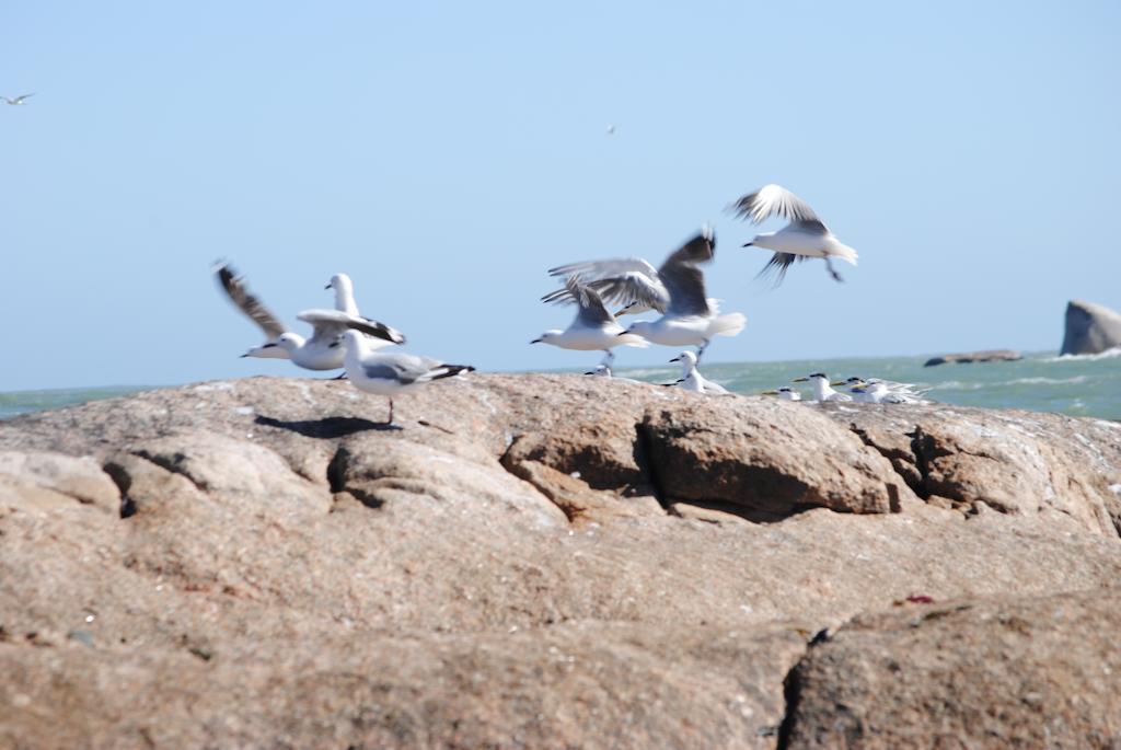 Stay At Bokkoms In Paternoster Self Catering Accommodation Bagian luar foto