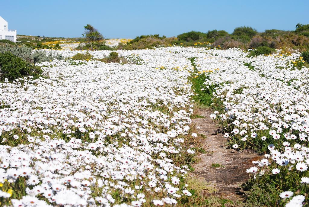 Stay At Bokkoms In Paternoster Self Catering Accommodation Bagian luar foto